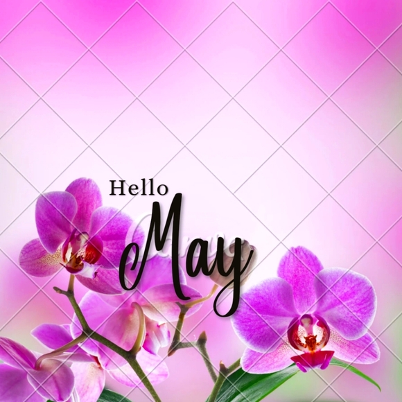 Minimum $13 - Picture 12 of 16